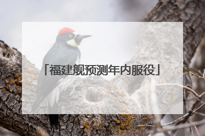 福建舰预测年内服役