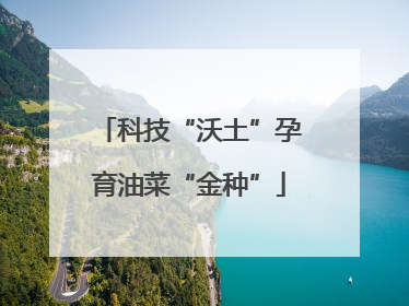 科技“沃土”孕育油菜“金种”