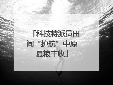 科技特派员田间“护航”中原夏粮丰收