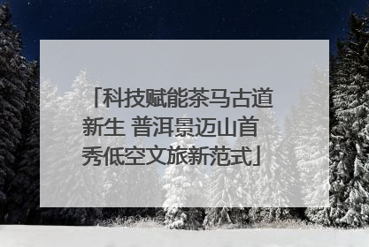 科技赋能茶马古道新生 普洱景迈山首秀低空文旅新范式