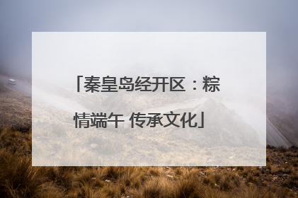 秦皇岛经开区：粽情端午 传承文化