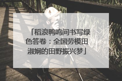 稻浪鸭鸣间书写绿色答卷：全国劳模田淑娴的田野振兴梦