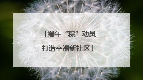 端午“粽”动员 打造幸福新社区