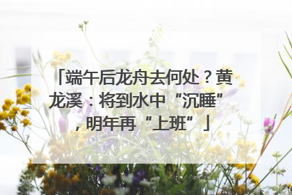 端午后龙舟去何处？黄龙溪：将到水中“沉睡”，明年再“上班”