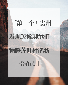 第三个！贵州发现珍稀濒危植物睡莲叶杜鹃新分布点