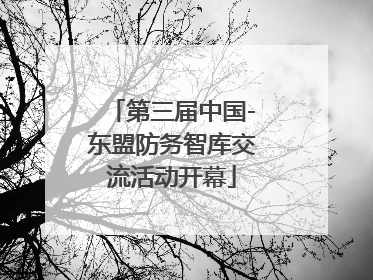 第三届中国-东盟防务智库交流活动开幕