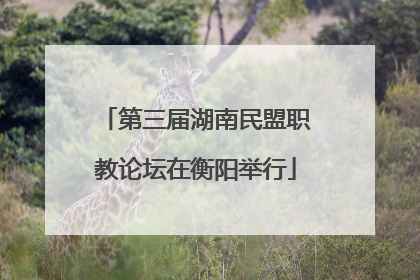 第三届湖南民盟职教论坛在衡阳举行