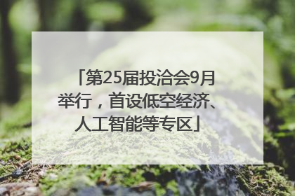 第25届投洽会9月举行，首设低空经济、人工智能等专区