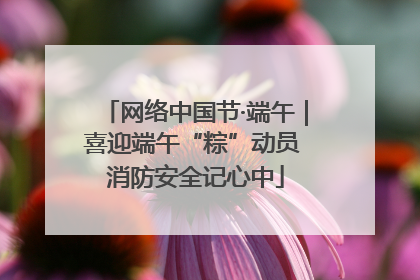 网络中国节·端午｜喜迎端午“粽”动员 消防安全记心中
