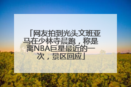网友拍到光头文班亚马在少林寺晨跑，称是离NBA巨星最近的一次，景区回应