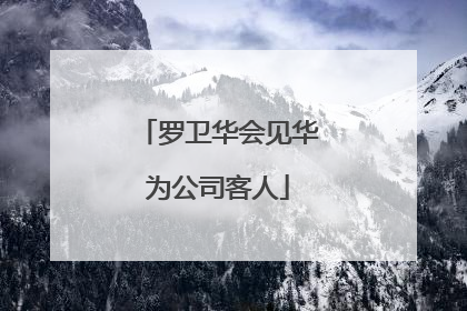 罗卫华会见华为公司客人