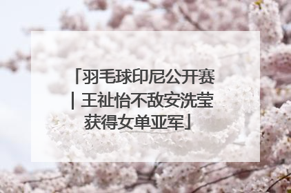 羽毛球印尼公开赛｜王祉怡不敌安洗莹 获得女单亚军