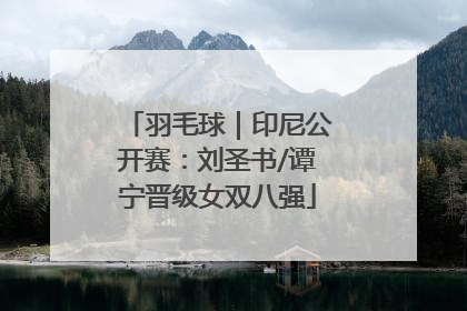 羽毛球｜印尼公开赛：刘圣书/谭宁晋级女双八强