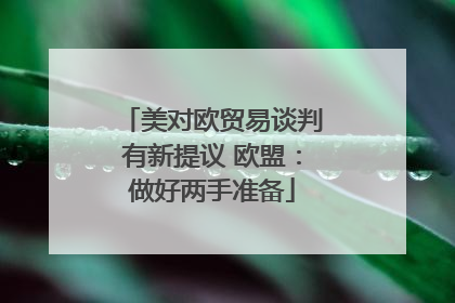 美对欧贸易谈判有新提议 欧盟：做好两手准备