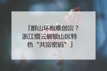 群山环抱难创富？浙江缙云解锁山区特色“共富密码”