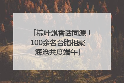 粽叶飘香话同源！100余名台胞相聚海沧共度端午