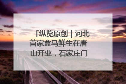 纵览原创｜河北首家盒马鲜生在唐山开业，石家庄门店预计8月开业