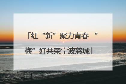 红“新”聚力青春 “梅”好共荣宁波慈城