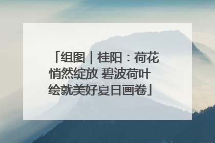 组图｜桂阳：荷花悄然绽放 碧波荷叶绘就美好夏日画卷