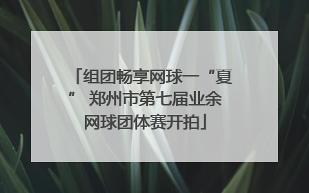 组团畅享网球一“夏” 郑州市第七届业余网球团体赛开拍