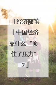 经济随笔丨中国经济靠什么“顶住了压力”？