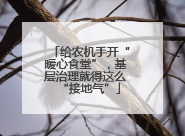 给农机手开“暖心食堂”，基层治理就得这么“接地气”