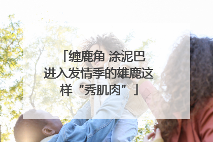 缠鹿角 涂泥巴 进入发情季的雄鹿这样“秀肌肉”