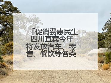 促消费惠民生 四川宜宾今年将发放汽车、零售、餐饮等各类消费券2亿元