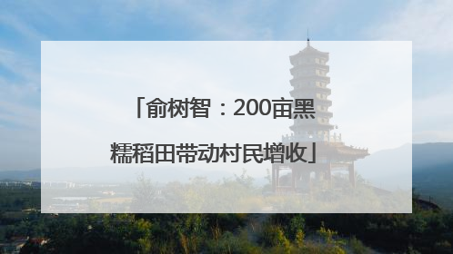 俞树智：200亩黑糯稻田带动村民增收