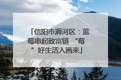 信阳市浉河区：蓝莓串起致富链 “莓”好生活入画来