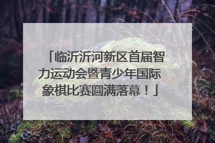 临沂沂河新区首届智力运动会暨青少年国际象棋比赛圆满落幕！