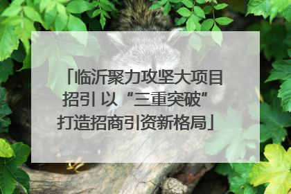 临沂聚力攻坚大项目招引 以“三重突破”打造招商引资新格局