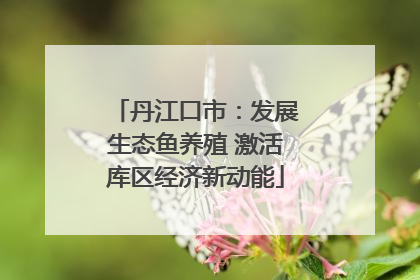 丹江口市：发展生态鱼养殖 激活库区经济新动能