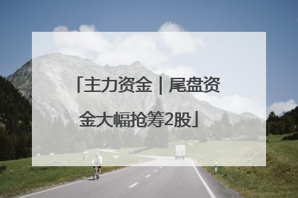 主力资金｜尾盘资金大幅抢筹2股