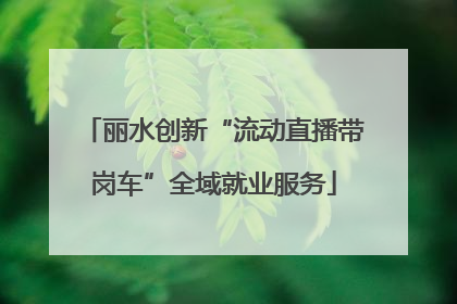 丽水创新“流动直播带岗车”全域就业服务