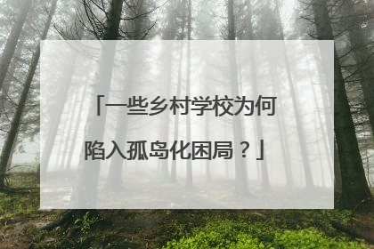 一些乡村学校为何陷入孤岛化困局？