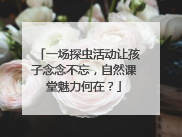 一场探虫活动让孩子念念不忘，自然课堂魅力何在？