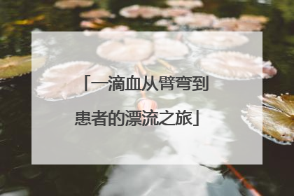 一滴血从臂弯到患者的漂流之旅