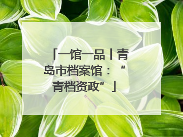 一馆一品丨青岛市档案馆：“青档资政”