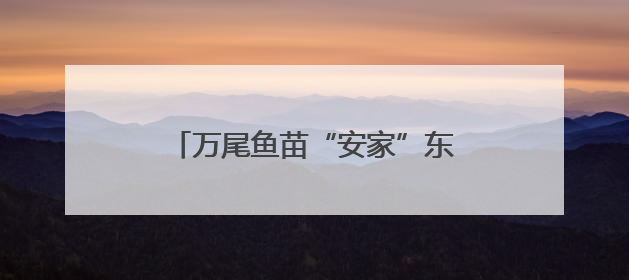 万尾鱼苗“安家”东海 浙江海洋增殖放流活动在台州启幕