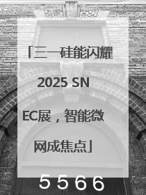 三一硅能闪耀2025 SNEC展，智能微网成焦点