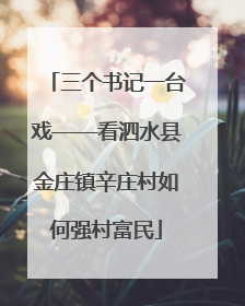 三个书记一台戏——看泗水县金庄镇辛庄村如何强村富民