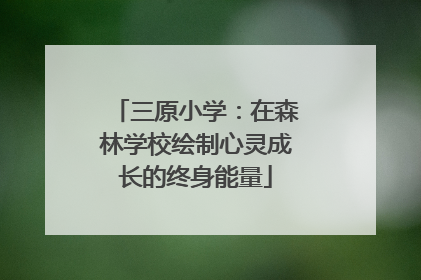 三原小学：在森林学校绘制心灵成长的终身能量