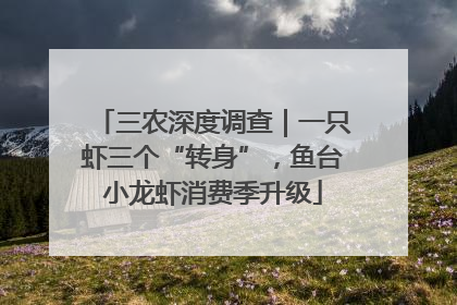 三农深度调查｜一只虾三个“转身”，鱼台小龙虾消费季升级
