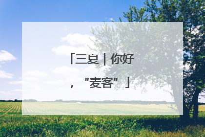 三夏｜你好，“麦客”