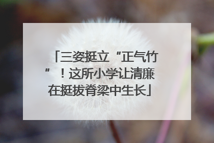 三姿挺立“正气竹”！这所小学让清廉在挺拔脊梁中生长