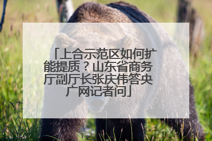 上合示范区如何扩能提质？山东省商务厅副厅长张庆伟答央广网记者问