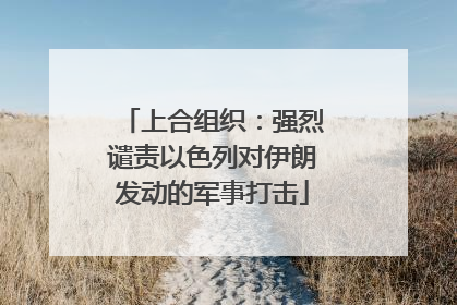 上合组织：强烈谴责以色列对伊朗发动的军事打击