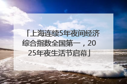 上海连续5年夜间经济综合指数全国第一，2025年夜生活节启幕