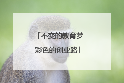 不变的教育梦 彩色的创业路